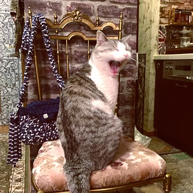 emmyyさんの実例写真