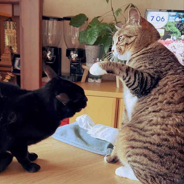 suemonta14さんの部屋