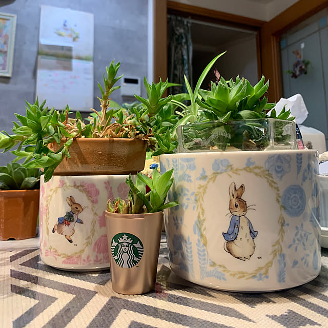 Aqettyさんの実例写真