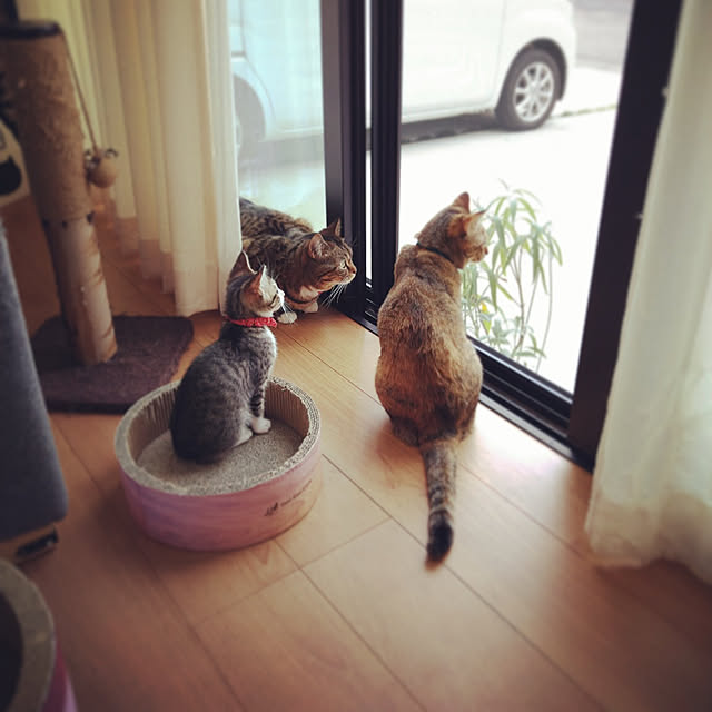 mochicoさんの実例写真