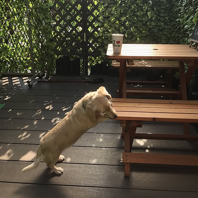 hechanさんの実例写真
