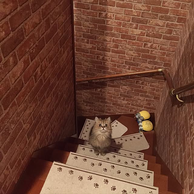 butachanさんの実例写真