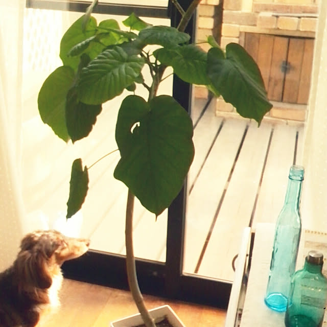 T.Sさんの実例写真