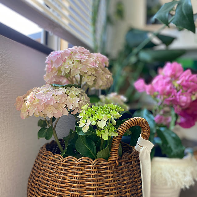 chan-homeさんの実例写真