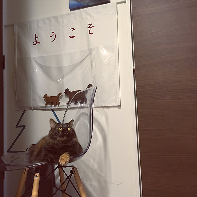 mikomaruさんの実例写真