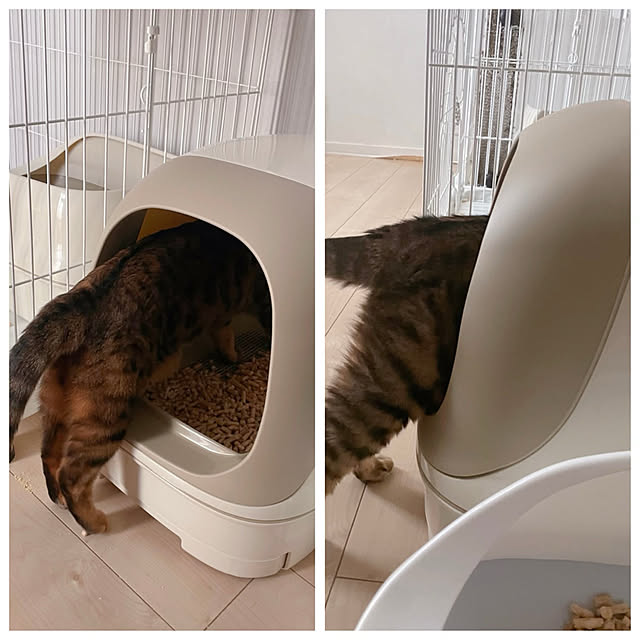 garikoさんの実例写真
