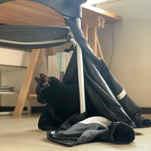 simplegooseさんの実例写真
