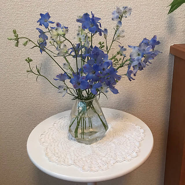 tomootyさんの実例写真