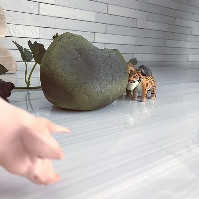 riakanaさんの実例写真