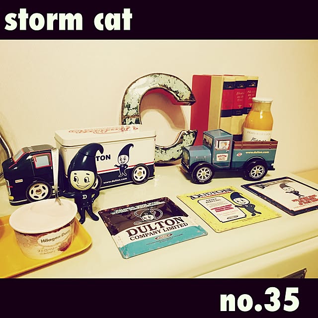 stormcatさんの実例写真