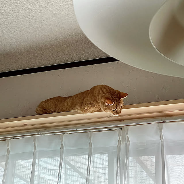 rijuさんの実例写真