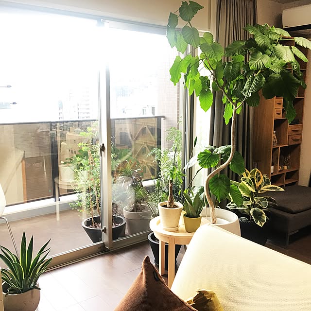 実例写真