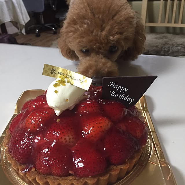 Naomiさんの実例写真