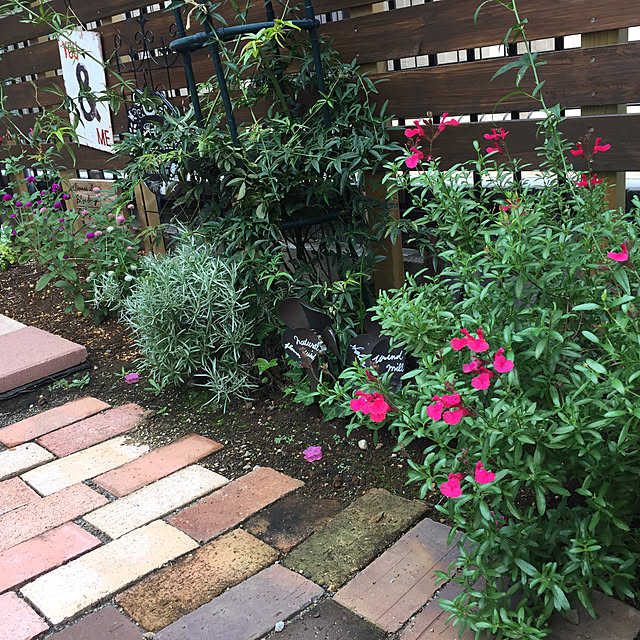 yokochinさんの実例写真