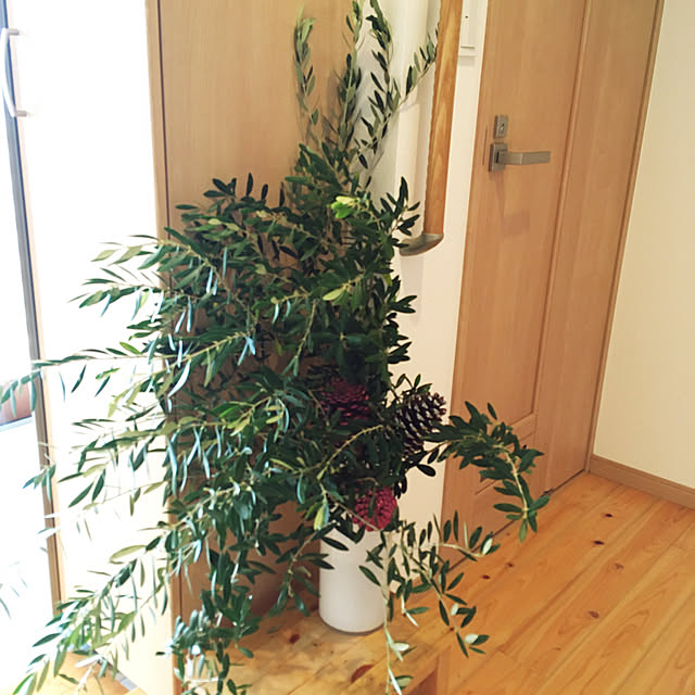 tenko.0306tuaさんの実例写真