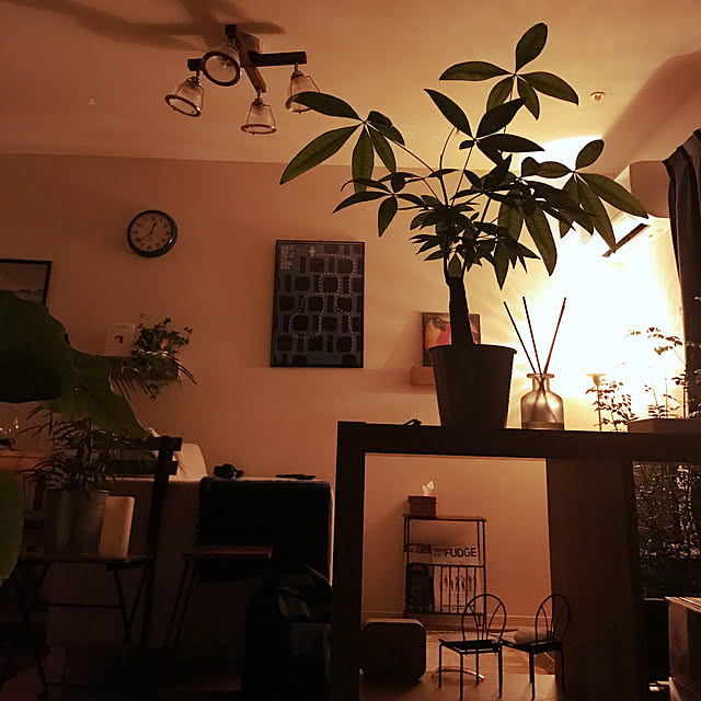 Kazuki___roomさんの実例写真