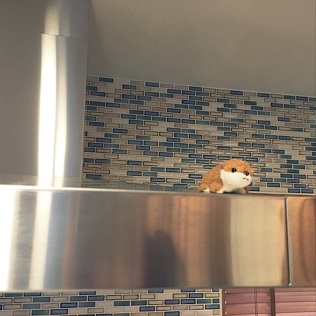 CMP78さんの実例写真