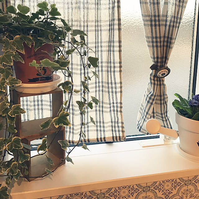 キッチン/雑貨/100均/観葉植物のインテリア実例 - 2018-02-06 17:03:49