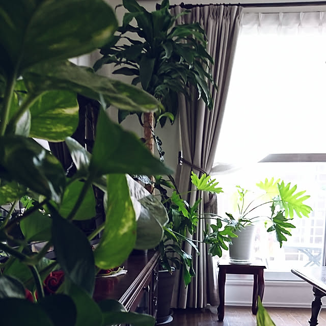 Natashyaさんの実例写真