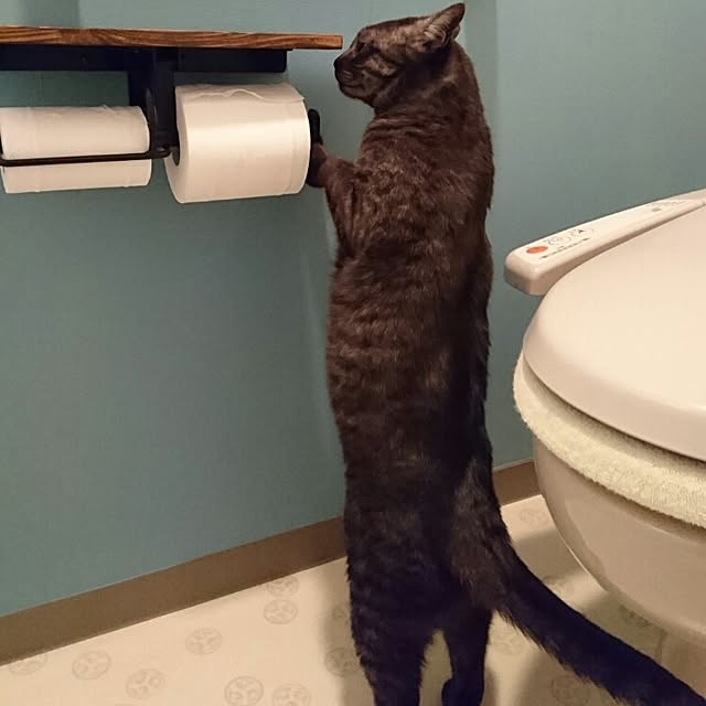taaaakyさんの実例写真