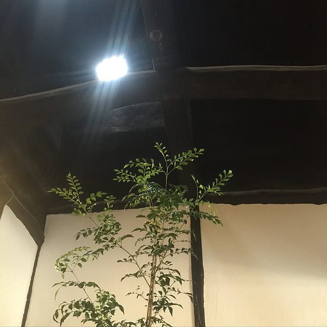 usaginonuikoさんの実例写真