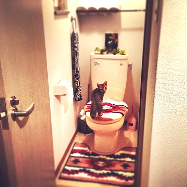 mayruさんの実例写真