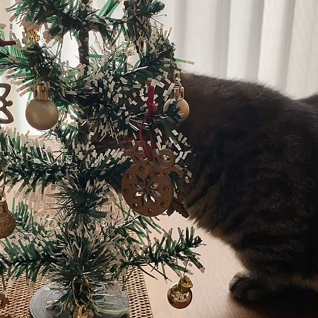 nocomomさんの実例写真