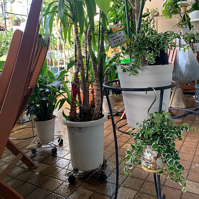 Aqettyさんの部屋