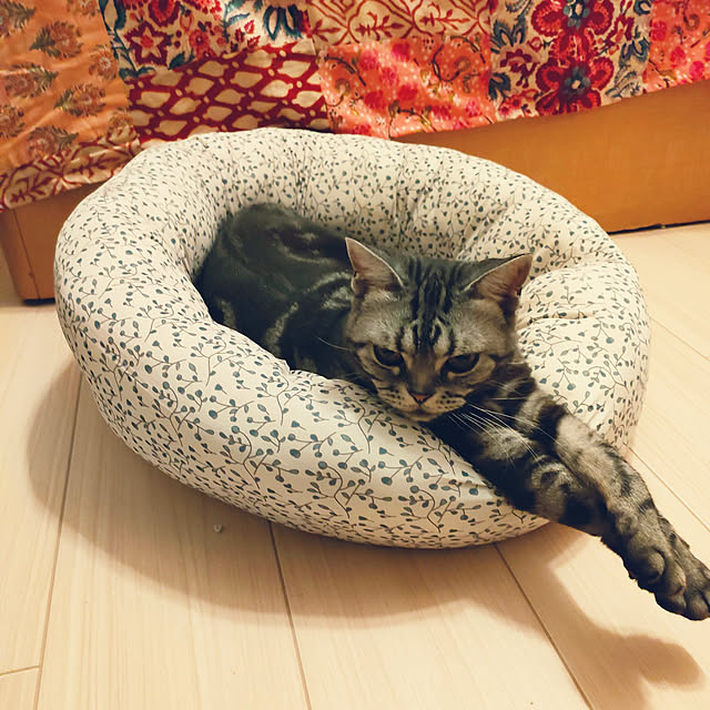Yoko622さんの実例写真