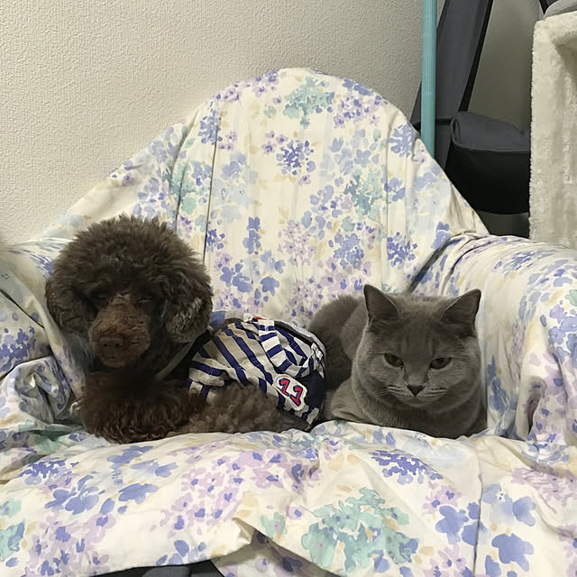 fionaさんの実例写真