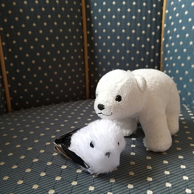 meiさんの実例写真