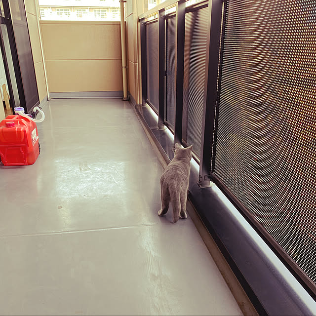 hachiさんの実例写真