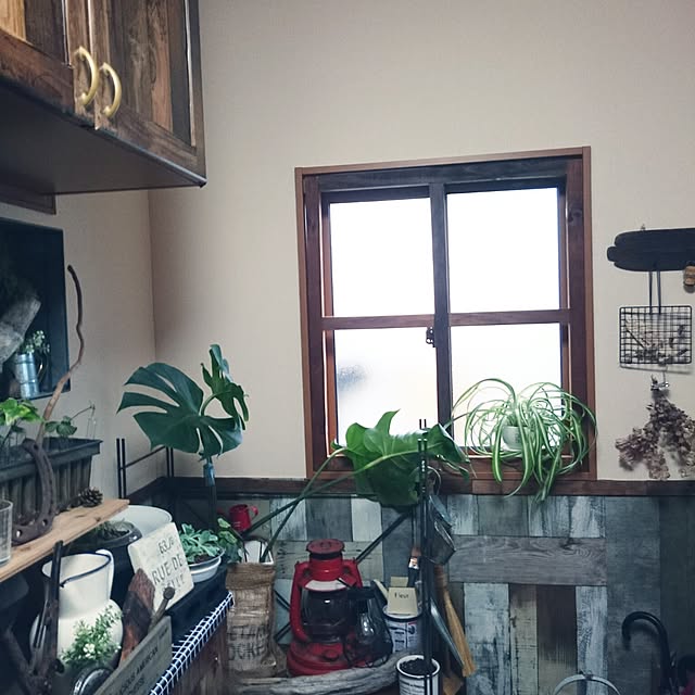 tikuwaさんの実例写真