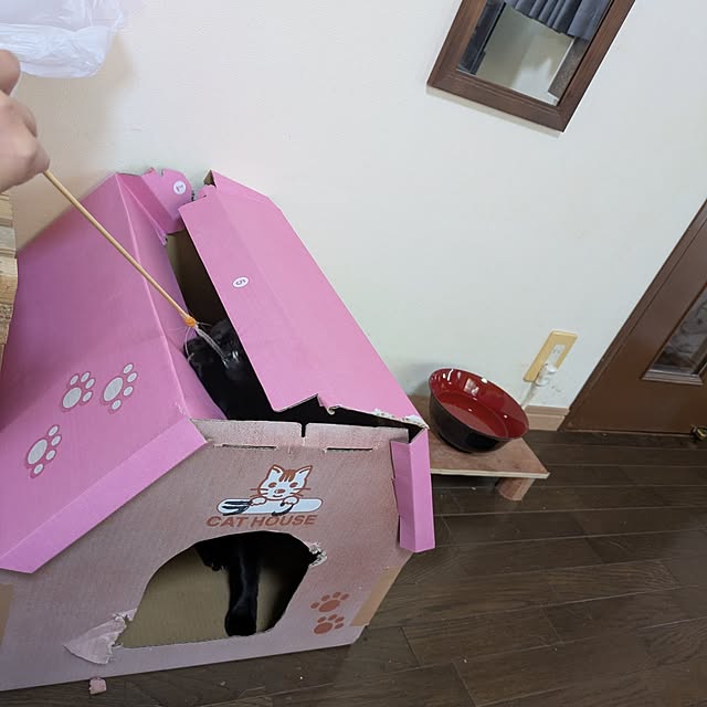 実例写真