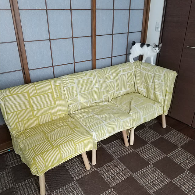 Mikaさんの実例写真