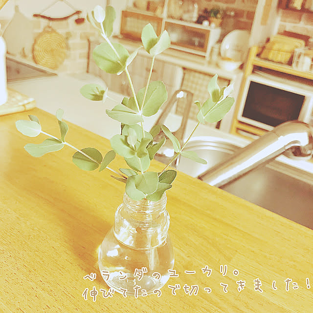 naturalさんの実例写真