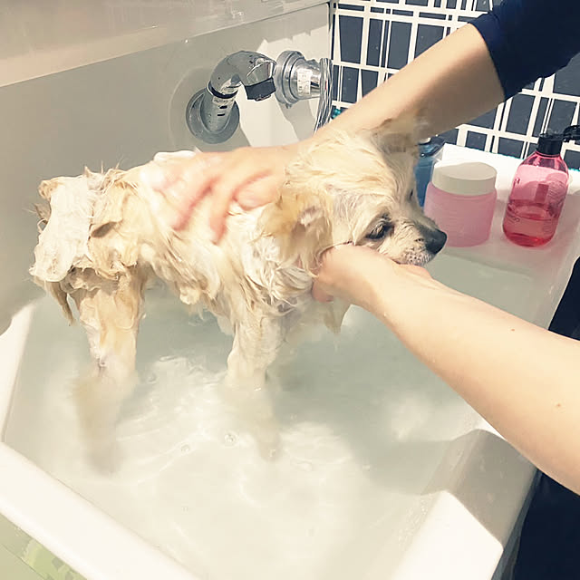 1546さんの部屋