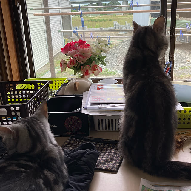 zabonzabonさんの実例写真
