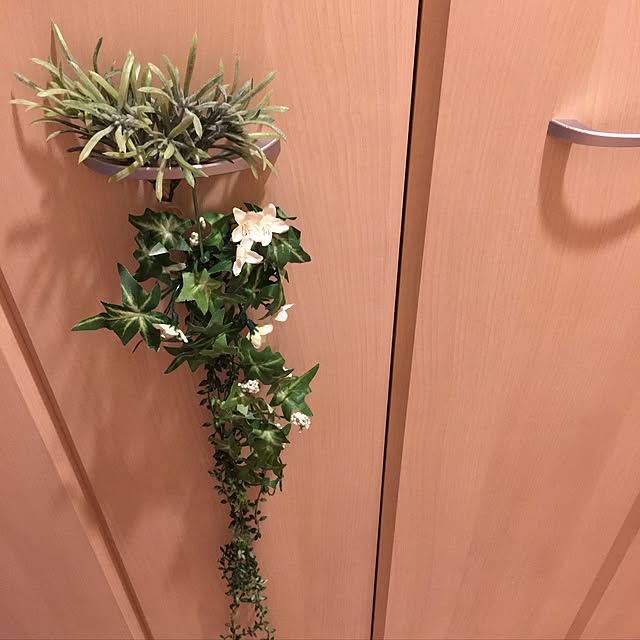 alohamamaさんの実例写真