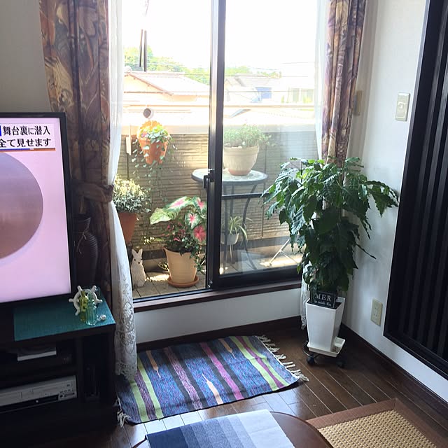 amiさんの実例写真