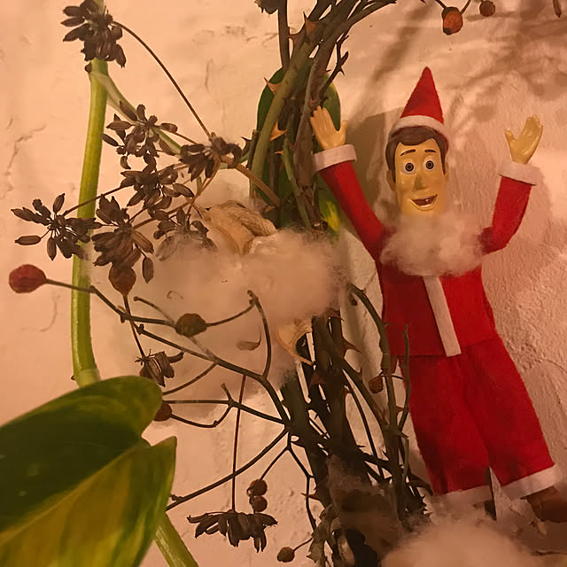 sakurasakuさんの実例写真