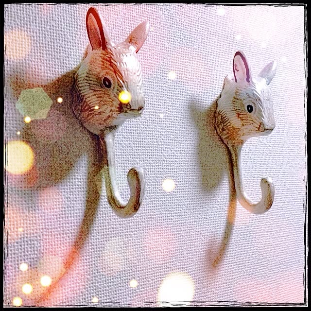 Tamasangogoさんの実例写真