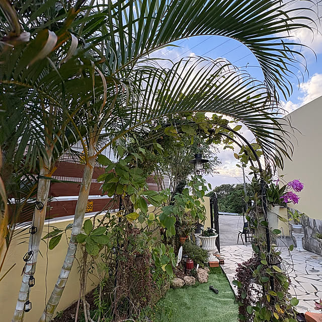 bu-bu-chanさんの部屋