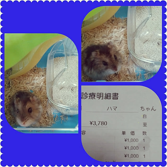 mokurenさんの実例写真