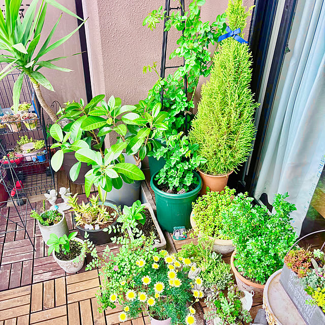 naokoさんの部屋