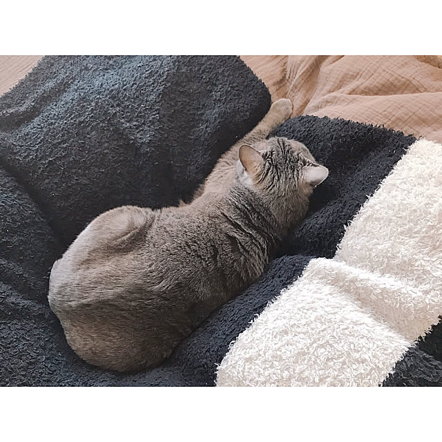 hiさんの実例写真