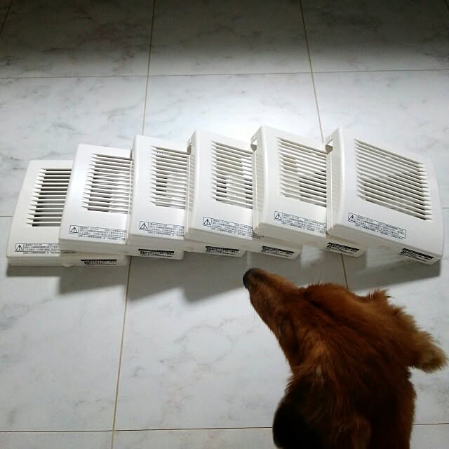 OtOさんの実例写真