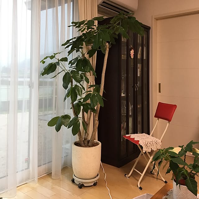 sanw2225719さんの実例写真