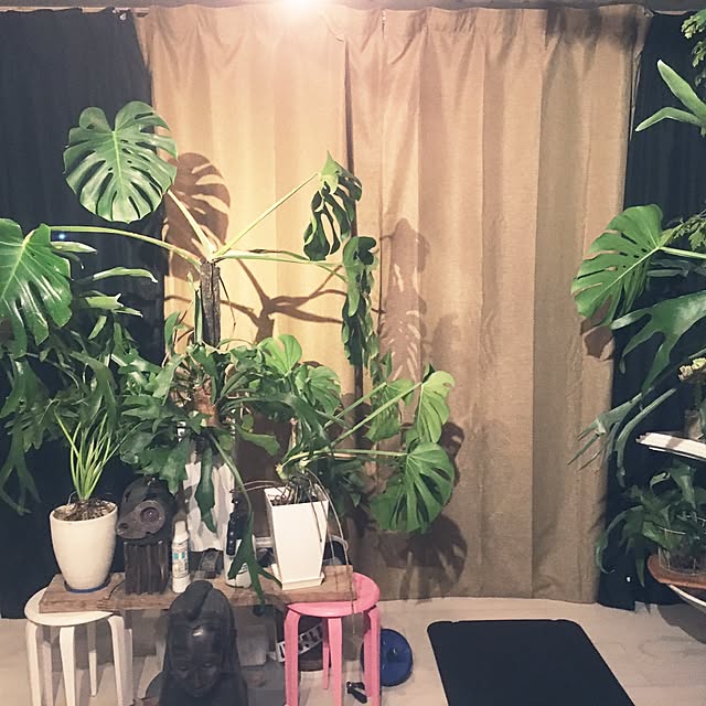Kiminobuさんの実例写真