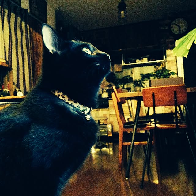 Naoki.さんの実例写真